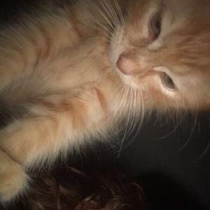 Meet your Posher, Colton